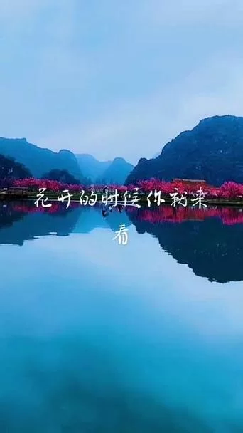 花开的时候你就来看我，有哪些经典续句值得推荐？
