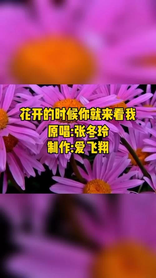 花开的时候你就来看我，有哪些经典续句值得推荐？