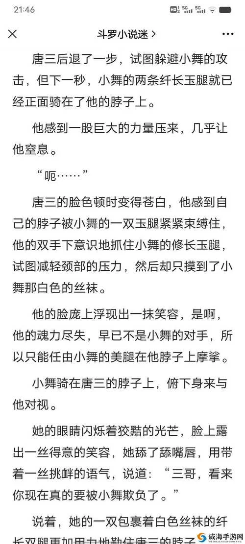 苍白的正义：小说曦光使徒的虚假道德观