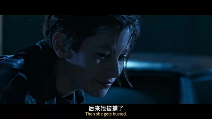 英国国王忏悔者爱德华：王朝的终结者？