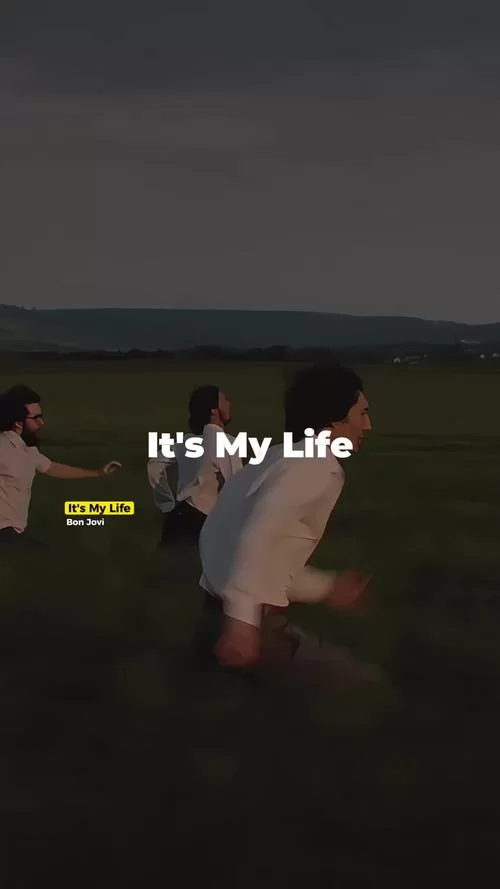 英文youaremylife是什么意思？详解其浪漫含义及文化背景