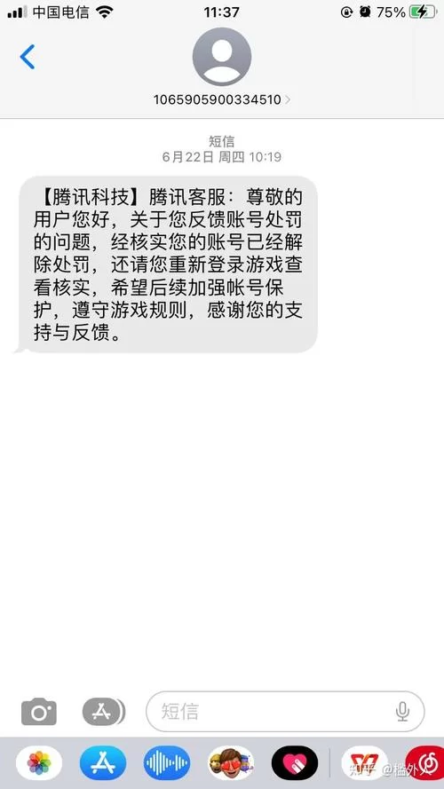 英雄联盟LOLSkinPro使用指南：避免封号的正确方法