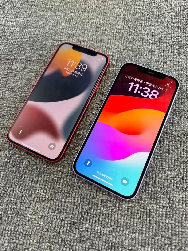 苹果12系列手机深度评测：性能、拍照样张及价格全解析