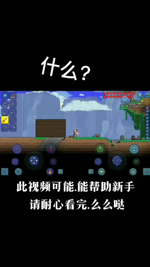 苹果和安卓手机玩泰拉瑞亚能联机吗？简单步骤轻松联机