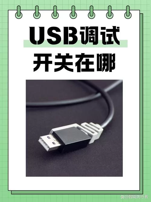苹果手机USB调试模式怎么启用？开发者模式开启方法及技巧