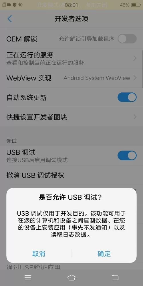 苹果手机USB调试模式怎么启用？开发者模式开启方法及技巧