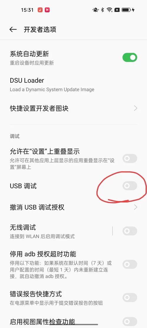 苹果手机USB调试模式怎么启用？开发者模式开启方法及技巧