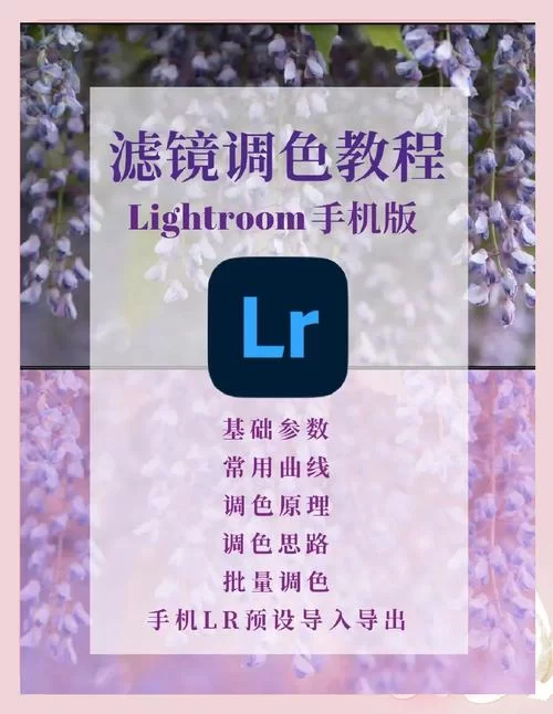 苹果手机如何下载LR？超简单步骤图文教学