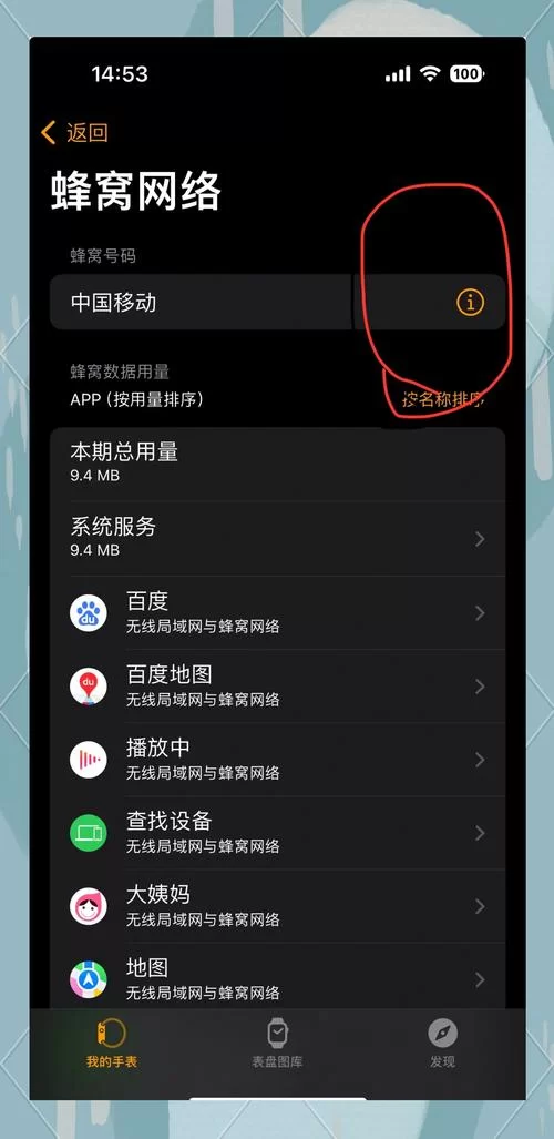苹果手机用不了蜂窝数据？几个小技巧帮你解决