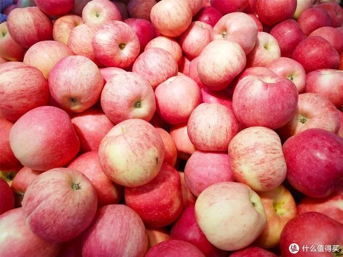 苹果滞销，专家支招：如何化解果农的困境？