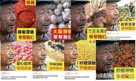 苹果滞销，专家支招：如何化解果农的困境？
