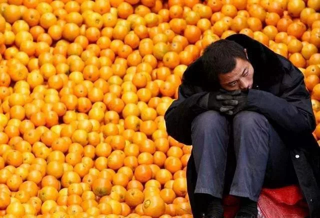 苹果滞销，专家支招：如何化解果农的困境？