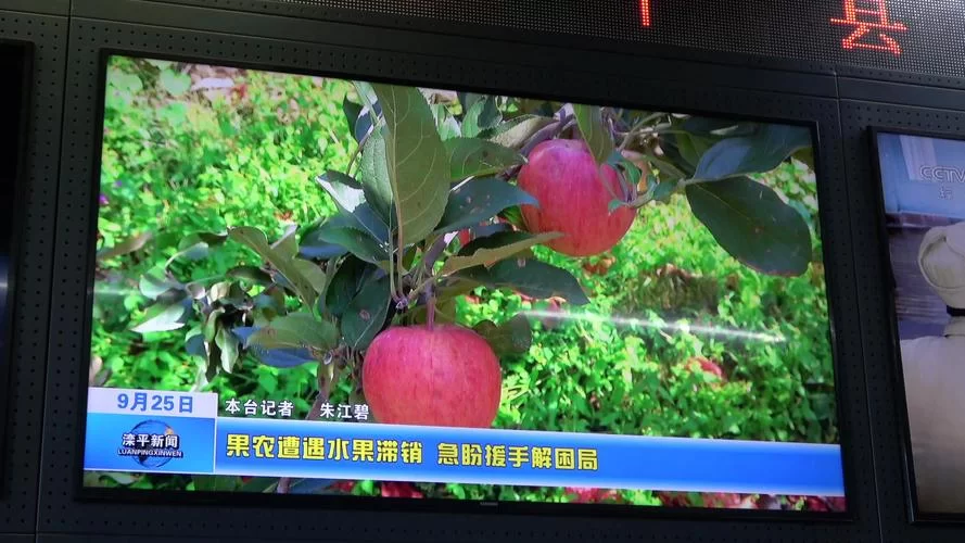苹果滞销，专家支招：如何化解果农的困境？