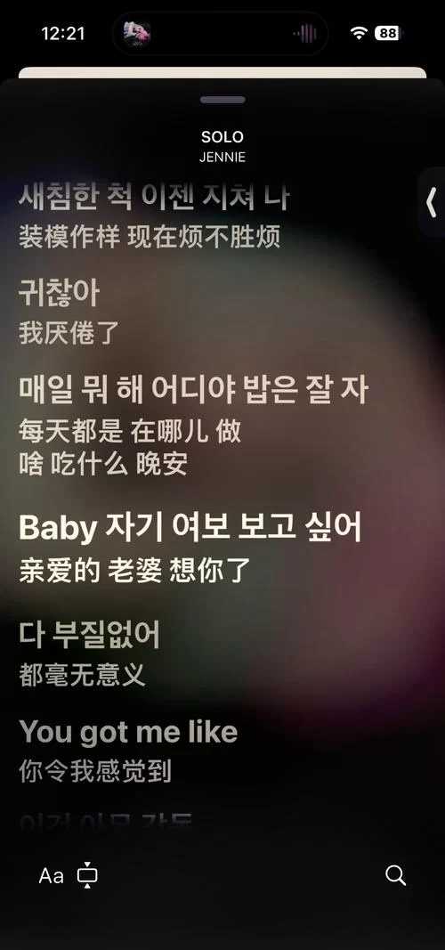 苹果音乐播放歌曲没有歌词？教你如何显示歌词