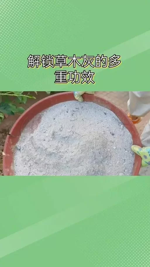 草木灰是什么？化学式K2CO3的含义和作用