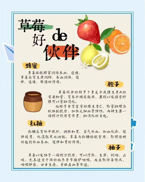草莓apk好用吗？用户体验及功能详解