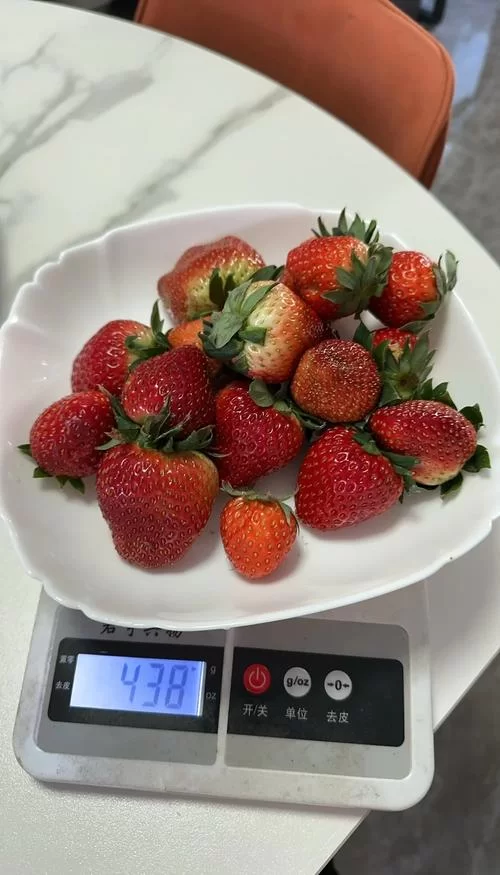 草莓的重量一般是多少克？教你快速估算草莓重量