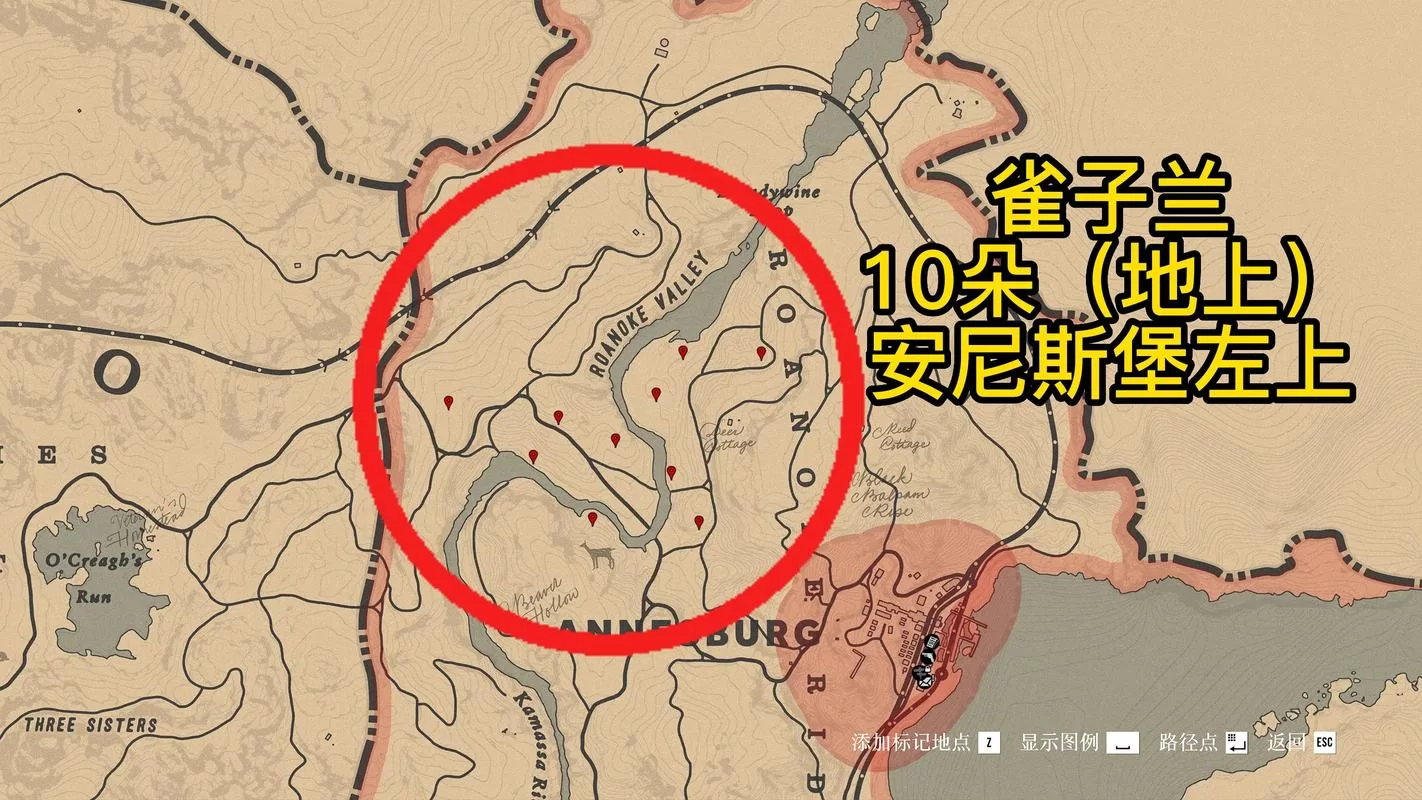 荒野大镖客2中文地图下载：高清完整版地图资源推荐
