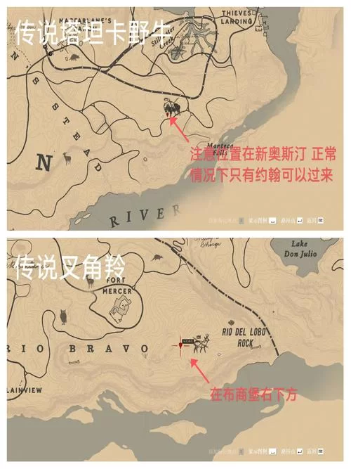 荒野大镖客2怎么玩？新手入门指南及快速上手技巧详解