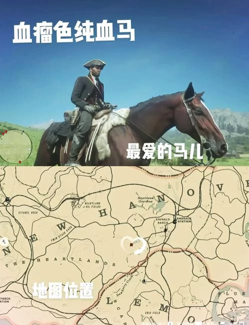 荒野大镖客2最强马匹排名：新手玩家必看选择指南