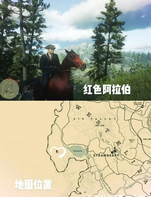 荒野大镖客2最强马匹排名：新手玩家必看选择指南