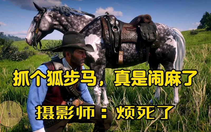荒野大镖客2纯血马速度排名：哪种纯血马跑得最快？