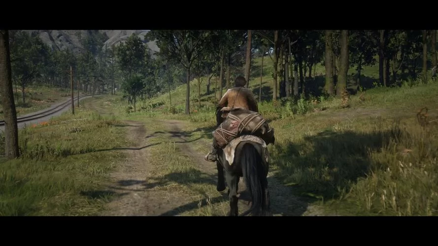 荒野大镖客2自动赶路技巧:轻松解放双手,快速到达目的地 荒野大镖客2自动赶路技巧:轻松解放双手,快速到达目的地