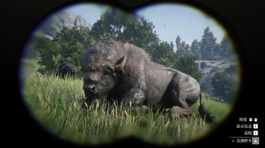 荒野大镖客2野牛在哪？新手玩家必看野牛捕捉指南