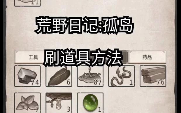 荒野日记通关秘籍：图文详解快速上手技巧