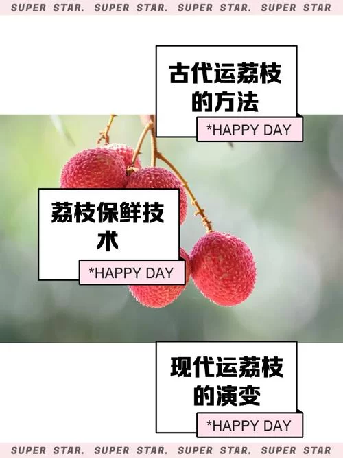 荔枝APP下载安装方法：快速下载荔枝收听播客