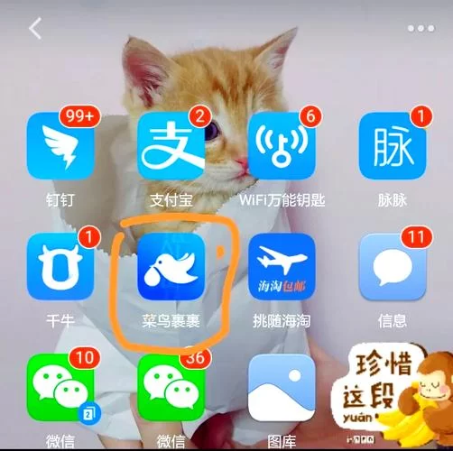 菜鸟裹裹订单号查询：APP、官网、小程序三种方法！