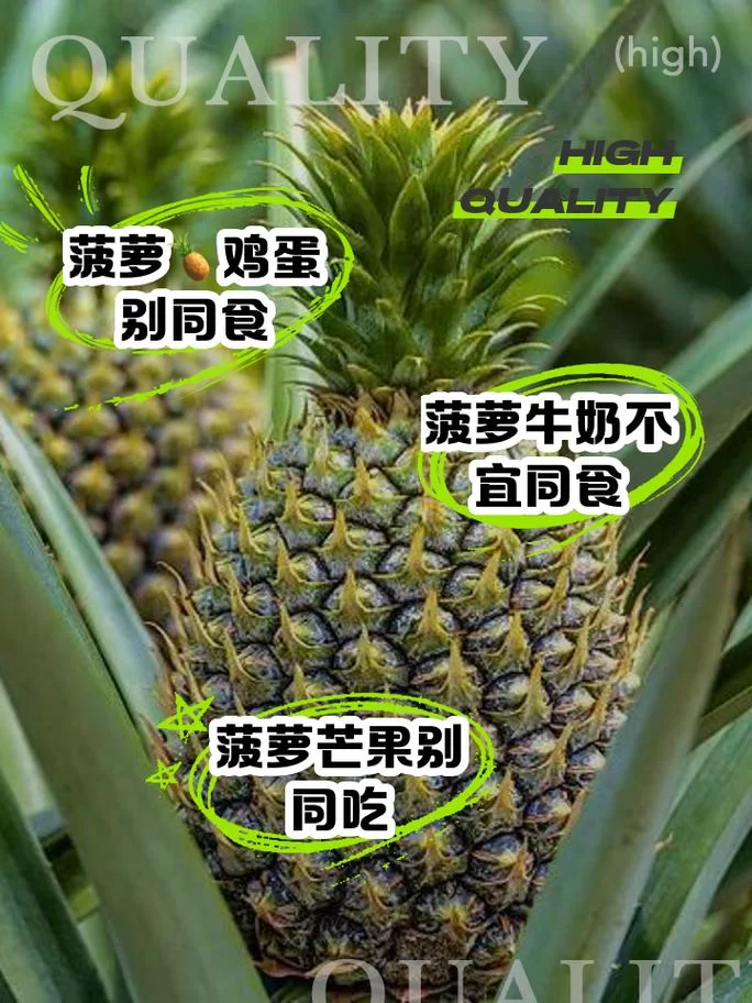 菠萝属性知多少？吃菠萝的禁忌和好处