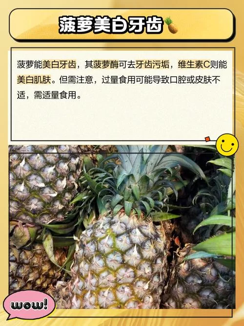 菠萝属性知多少？吃菠萝的禁忌和好处