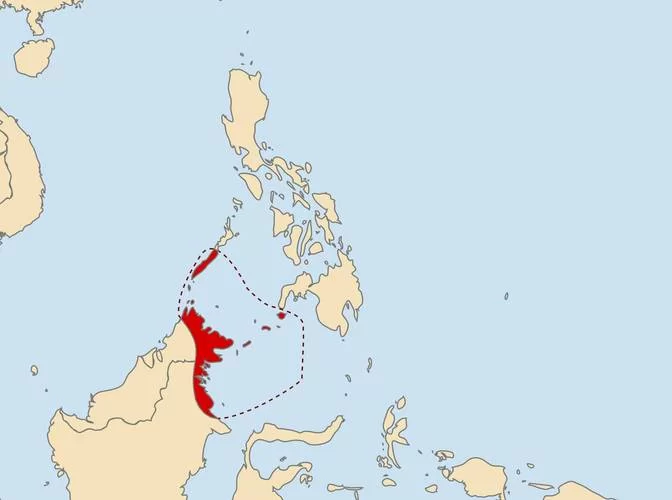 菲律宾究竟属于哪个洲？地理位置及周边国家分析