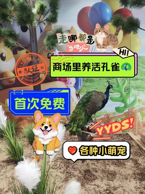 萌宠呈祥手游：超萌宠物等你来养成！