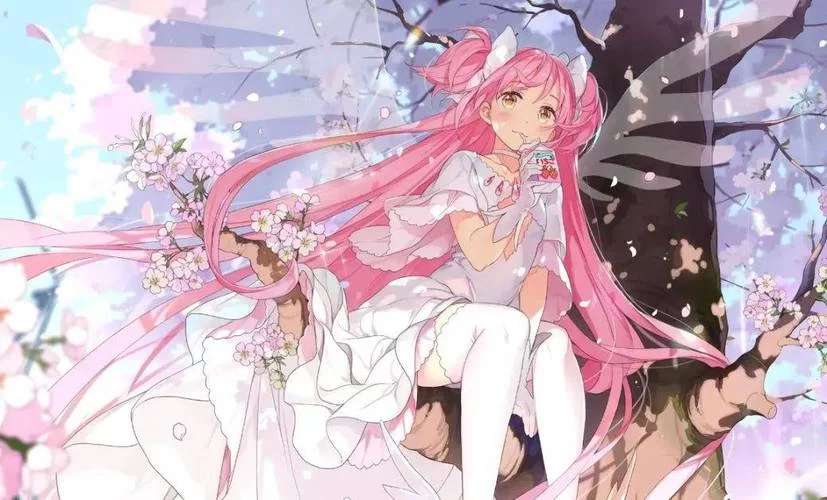 萝莉集中营大揭秘：可爱萝莉都在这里！