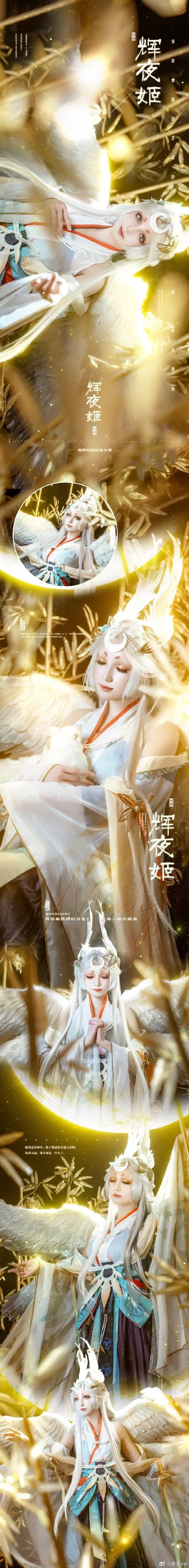 萤火溪流答题：以下哪只不是因幡辉夜姬的兔子？