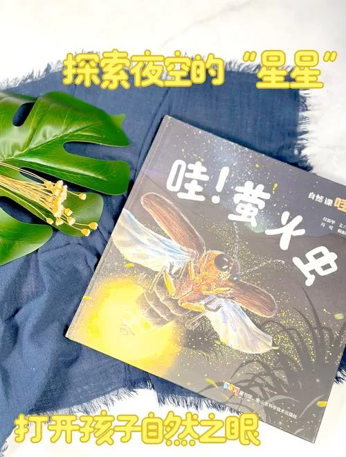 萤火虫百科：带你了解神奇的萤火虫世界