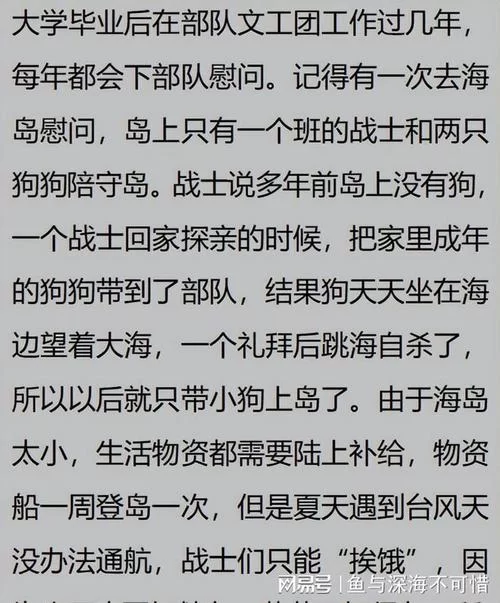 营地生活大揭秘：军队驻扎地的那些事儿
