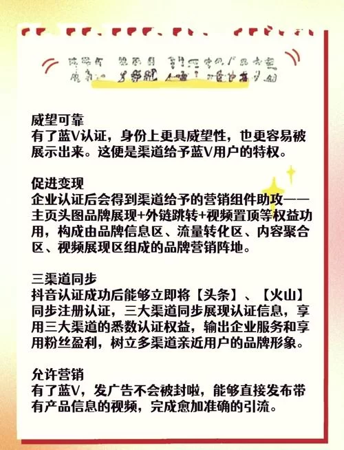 蓝V认证是什么？教你如何申请并获得蓝V标志