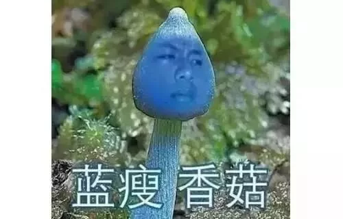 蓝瘦香菇什么梗？2016年爆红网络流行语大揭秘