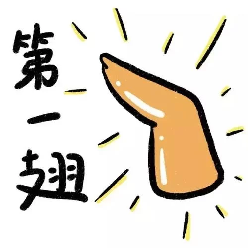 蓝瘦香菇什么梗？2016年爆红网络流行语大揭秘