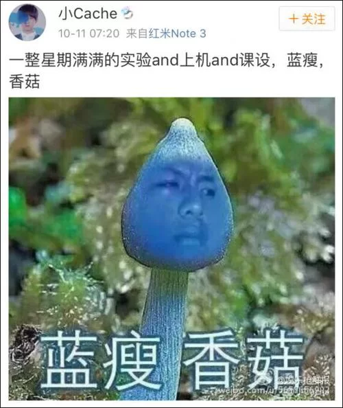 蓝瘦香菇什么梗？2016年爆红网络流行语大揭秘