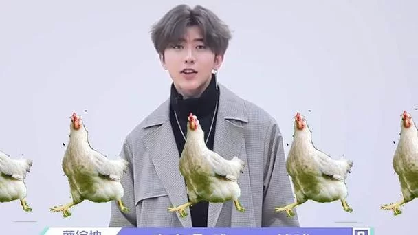 蔡徐坤“鸡你太美”是哪首歌？这句歌词的来龙去脉
