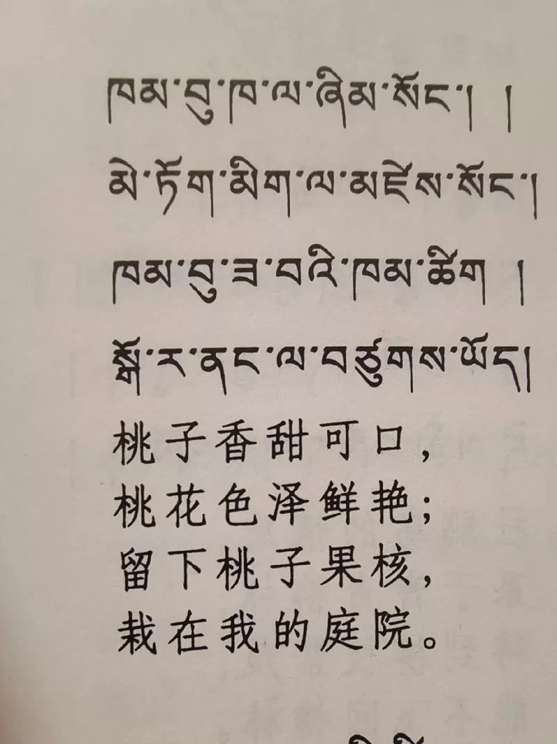 藏语在线翻译：轻松便捷的藏汉互译助手