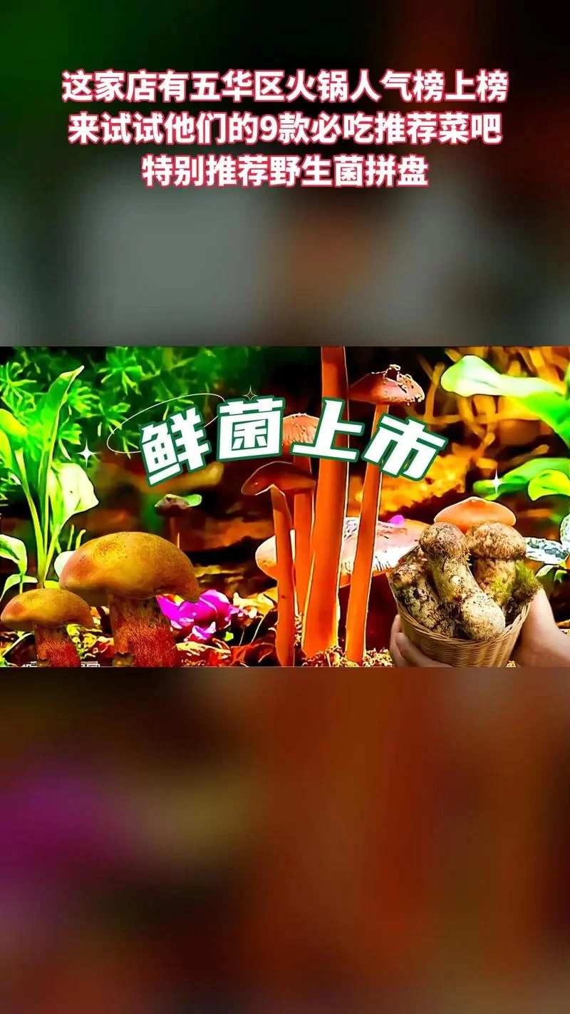 蘑菇街官网首页：海量好物，轻松选购！
