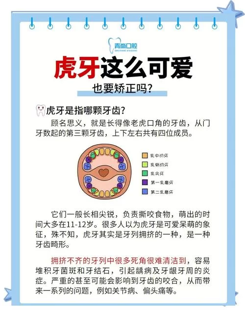 虎牙网页版怎么用？新手入门简单教程！