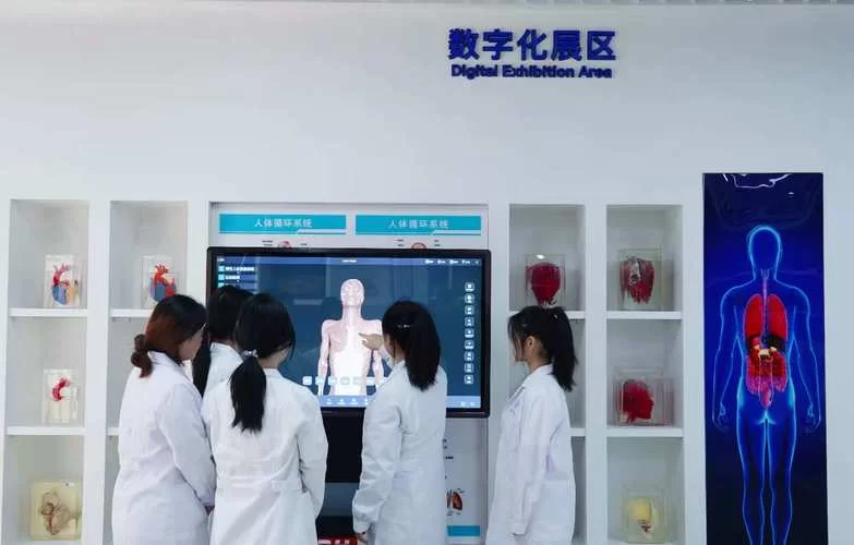 虚拟实验室：随时随地做实验，提升学习效率