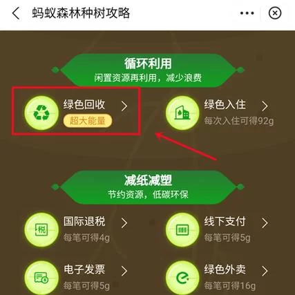 蚂蚁森林今日最新答案速递，别错过每日的绿色能量