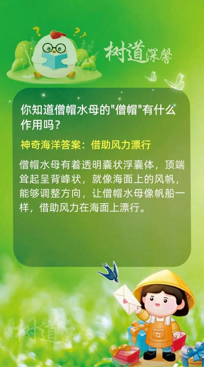 蚂蚁森林今日最新答案速递，别错过每日的绿色能量